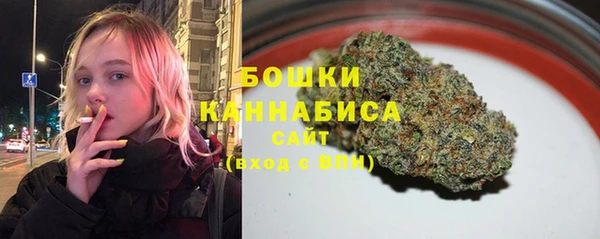 ПСИЛОЦИБИНОВЫЕ ГРИБЫ Абаза