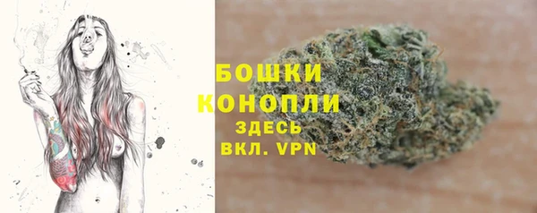 apvp Новозыбков