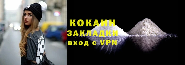 ПСИЛОЦИБИНОВЫЕ ГРИБЫ Абаза