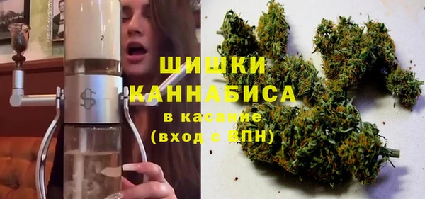 ПСИЛОЦИБИНОВЫЕ ГРИБЫ Абаза