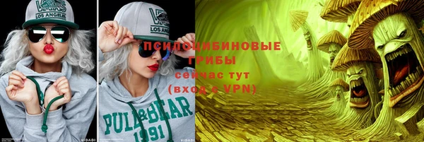 apvp Новозыбков