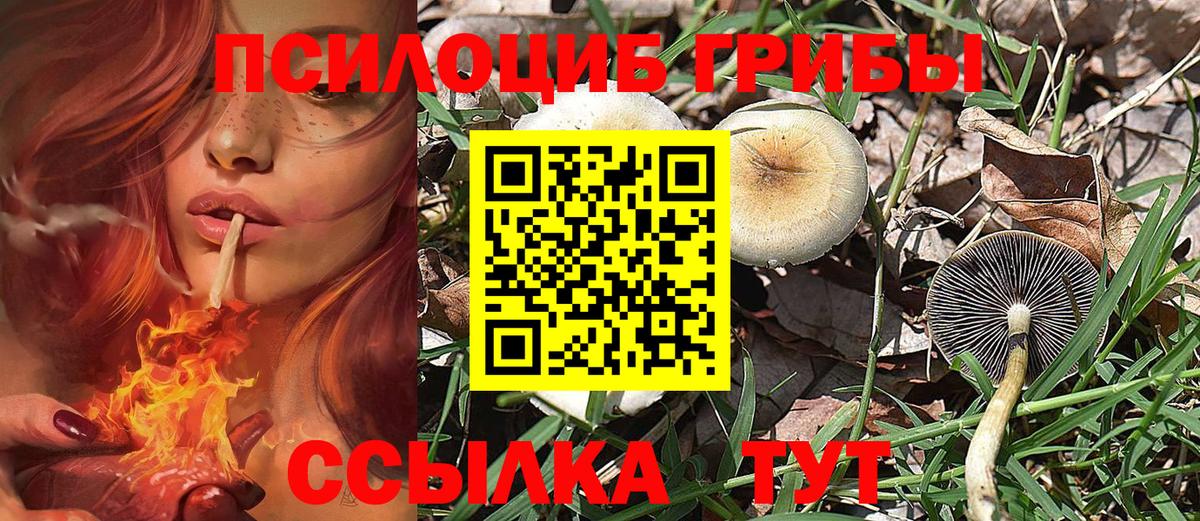 Псилоцибиновые грибы мухоморы Североморск