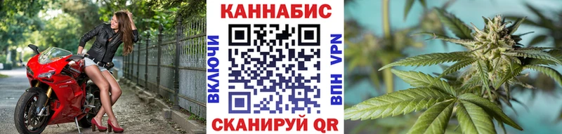 Бошки марихуана конопля Североморск